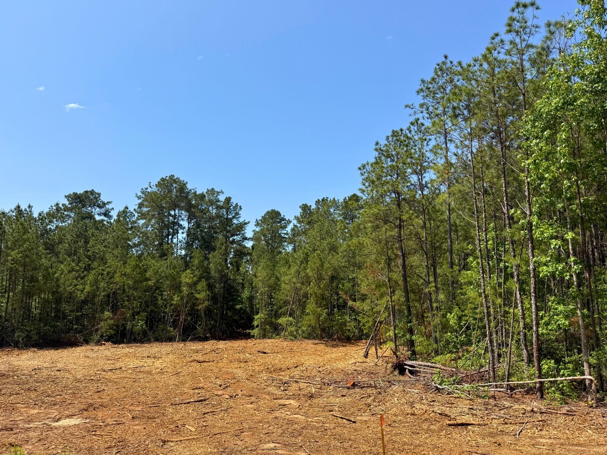 4 Camp Ruby Road Property Photo 4