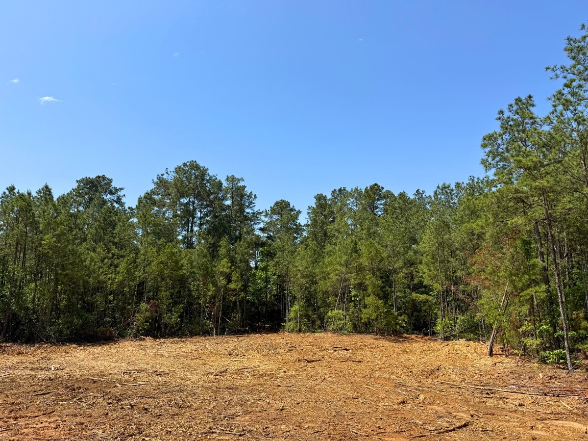 4 Camp Ruby Road Property Photo 5