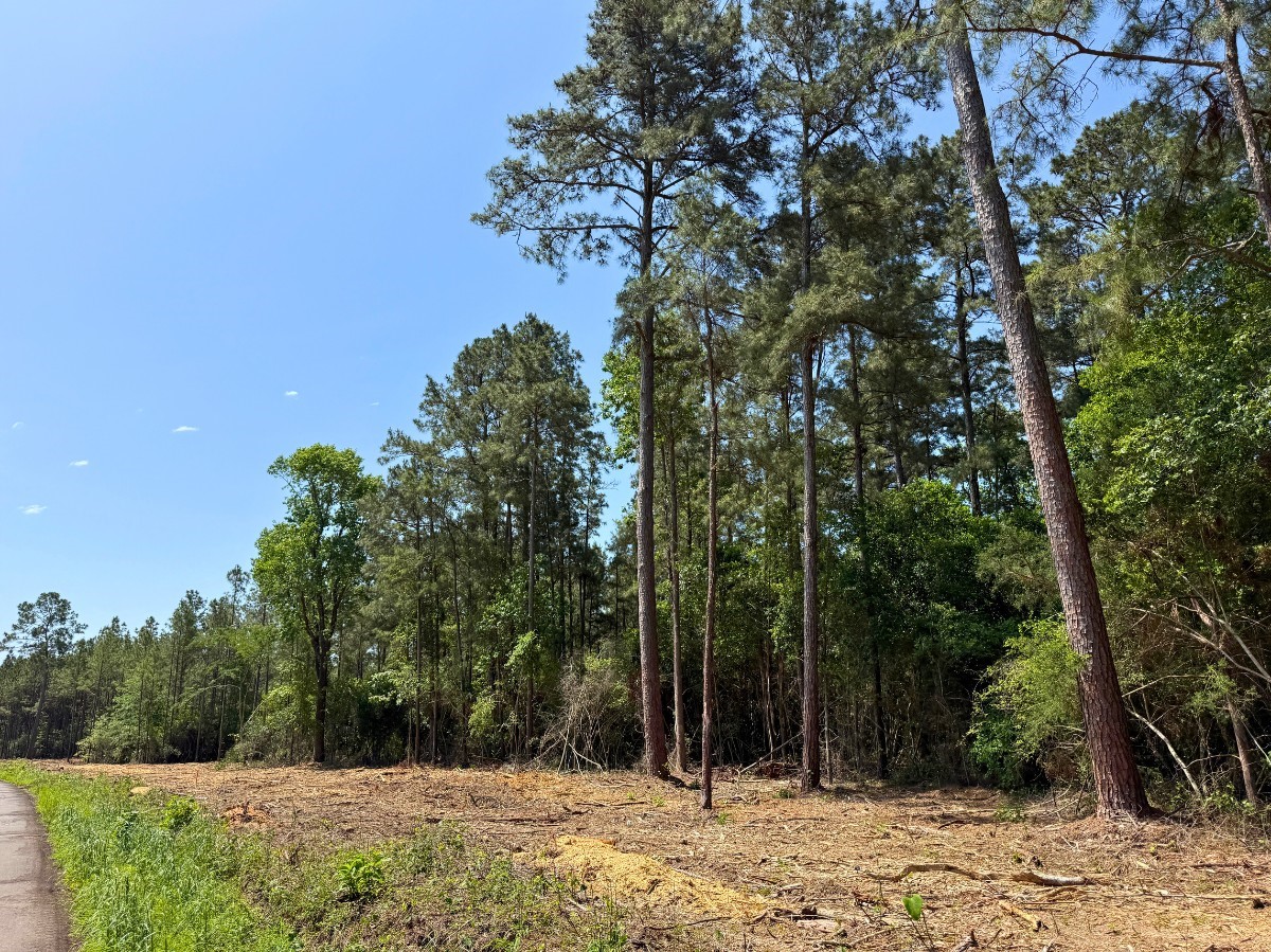 4 Camp Ruby Road Property Photo 8