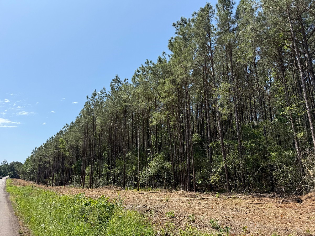 4 Camp Ruby Road Property Photo 11