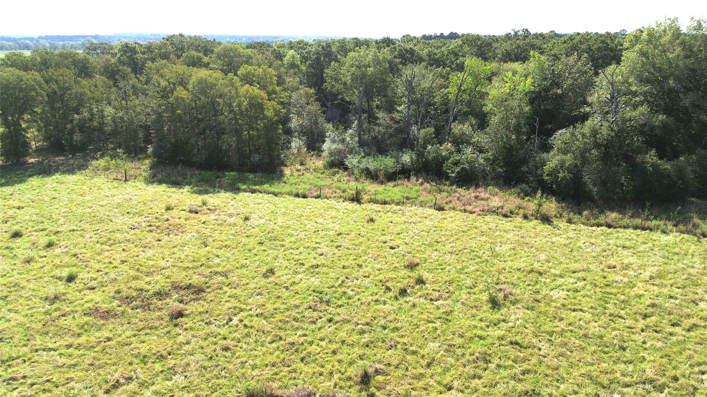 727 Buckhorn Creek Drive Property Photo 7