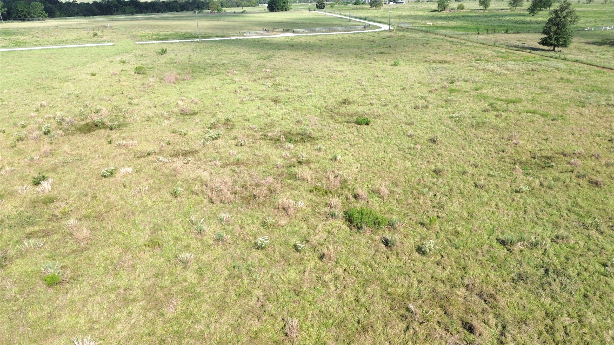 727 Buckhorn Creek Drive Property Photo 8