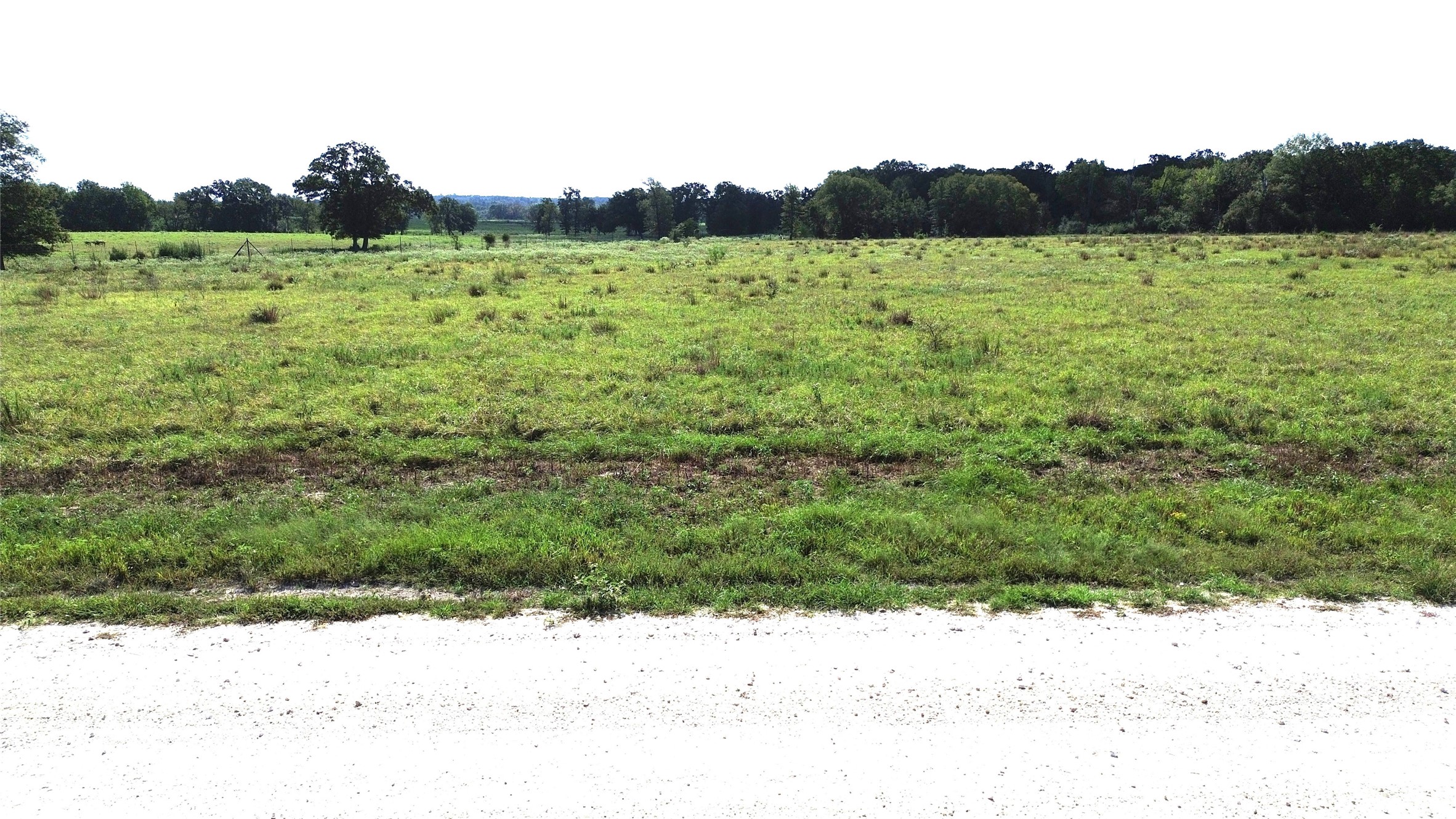727 Buckhorn Creek Drive Property Photo 10