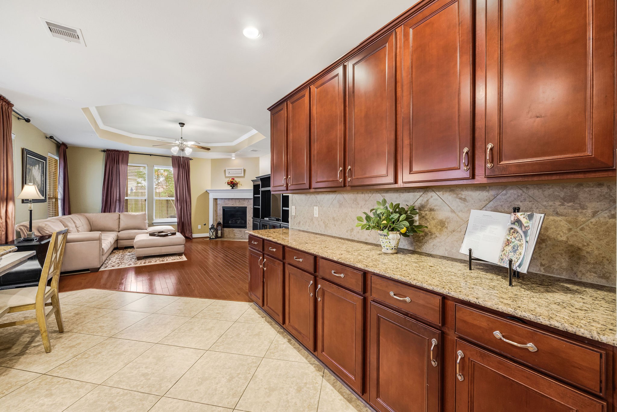 25823 Celtic Terrace Drive Property Photo 15