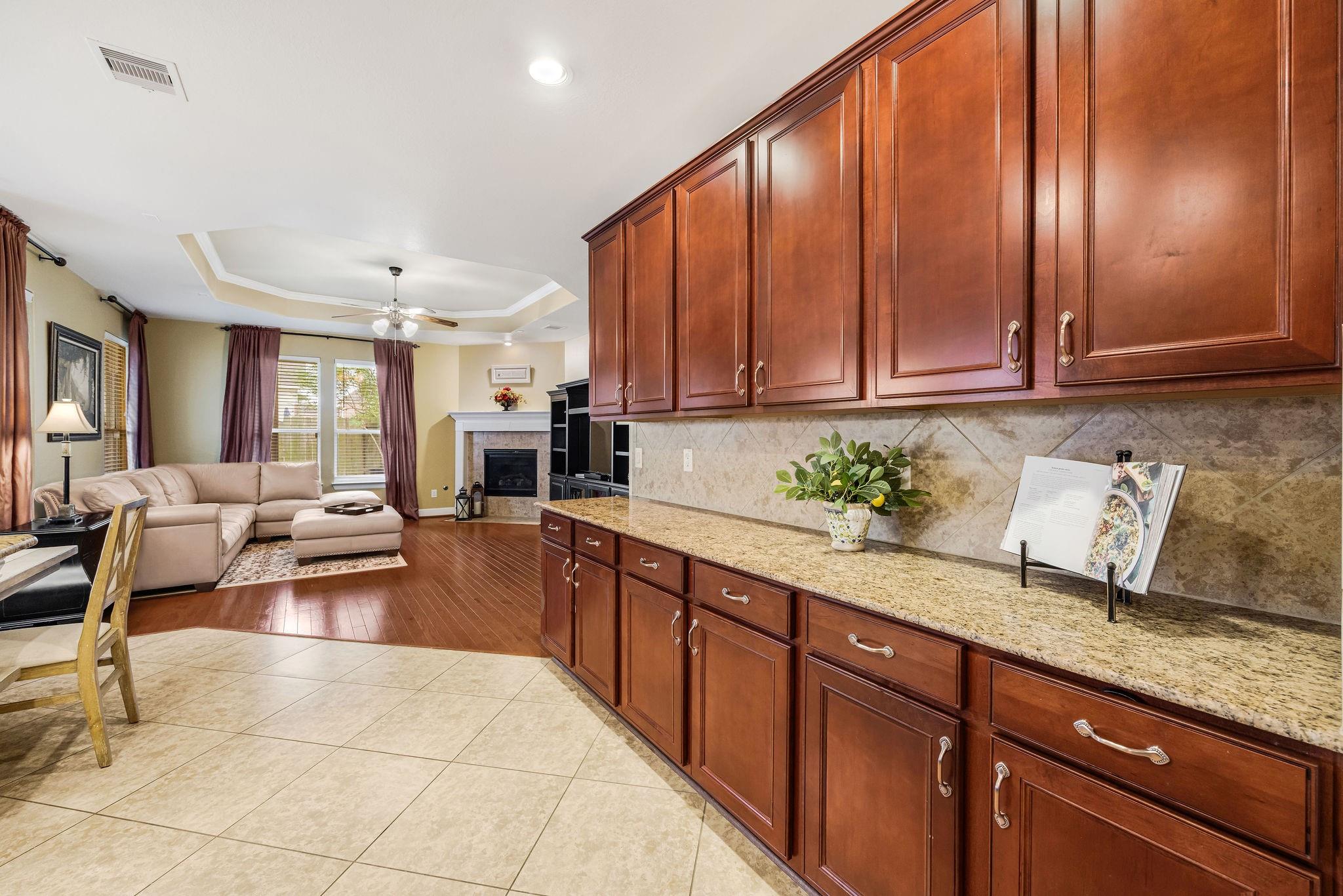 25823 Celtic Terrace Drive Property Photo 15