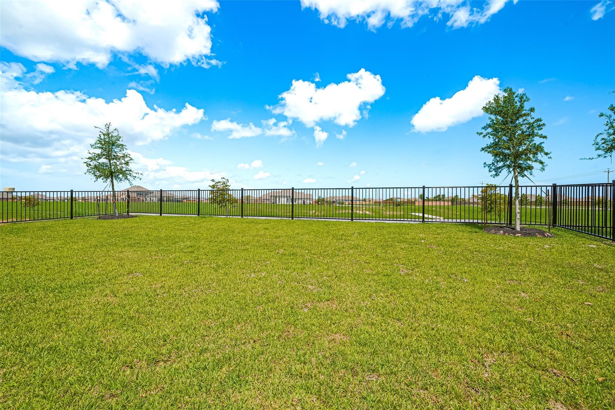 2702 Ballast Green Drive Property Photo 40