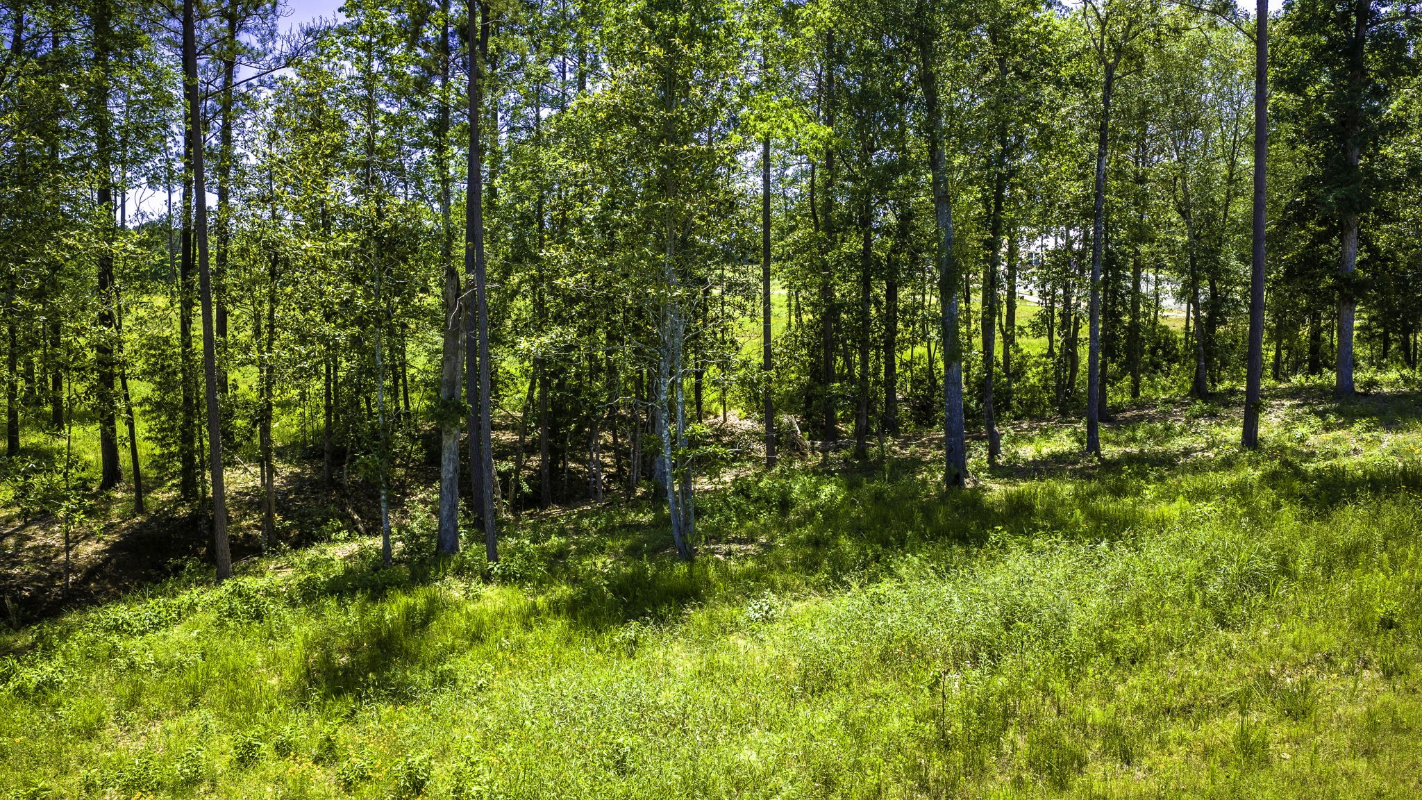 Tbd Lot 15 - Addison Road Property Photo 17