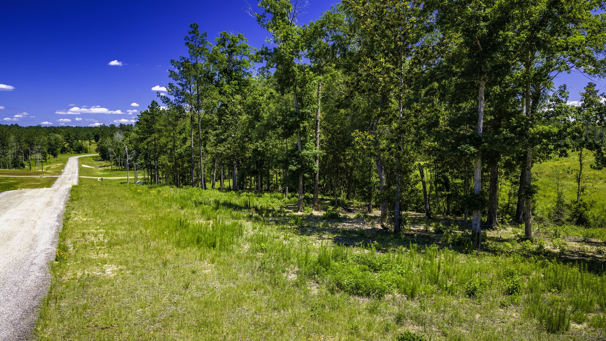 Tbd Lot 15 - Addison Road Property Photo 19