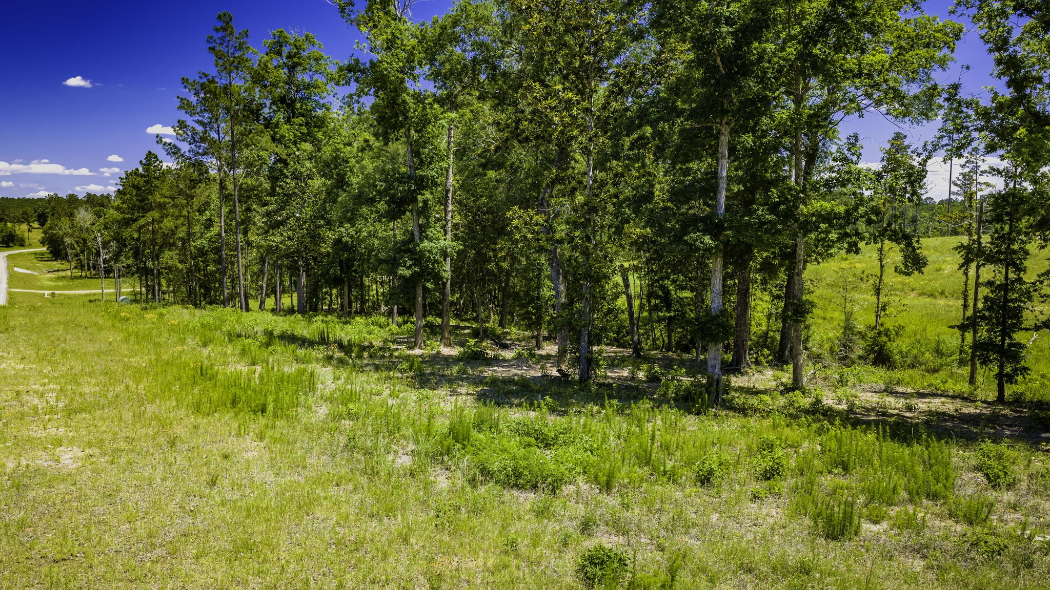 Tbd Lot 15 - Addison Road Property Photo 20