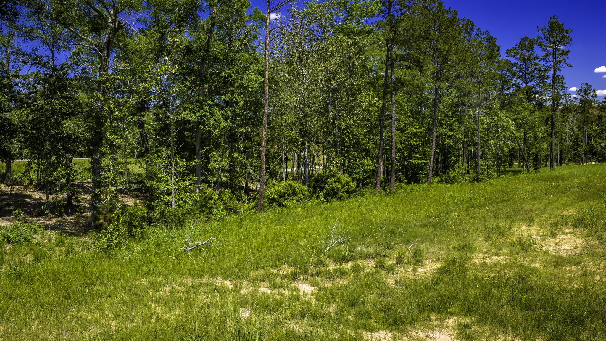 Tbd Lot 15 - Addison Road Property Photo 21