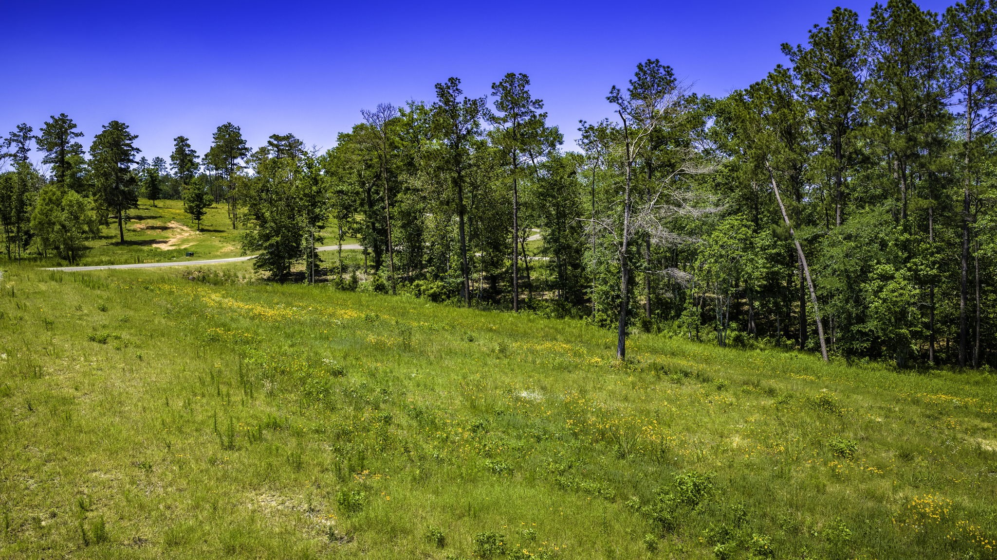 Tbd Lot 15 - Addison Road Property Photo 22