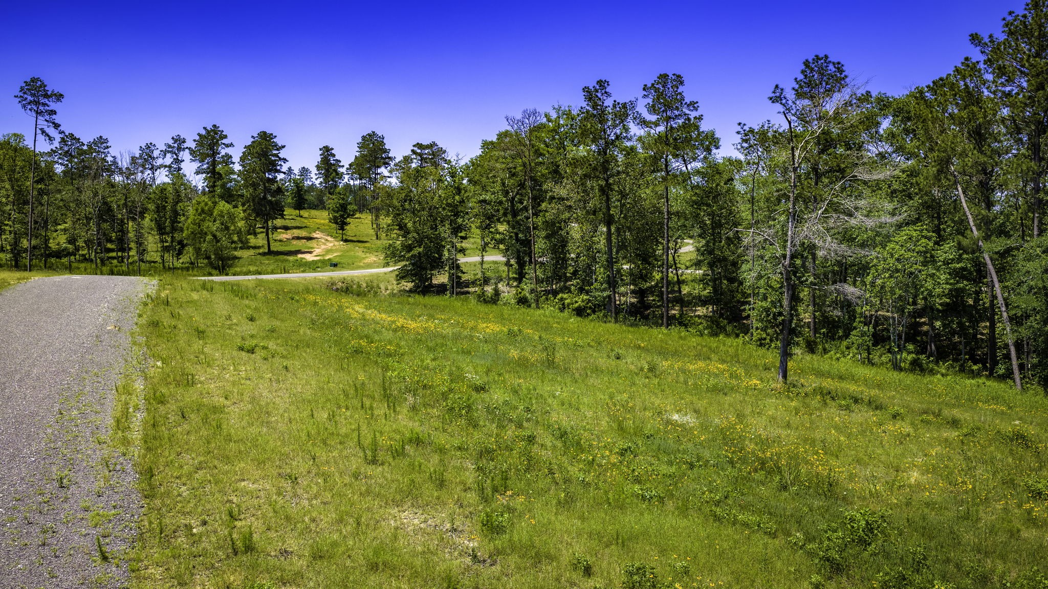 Tbd Lot 15 - Addison Road Property Photo 23