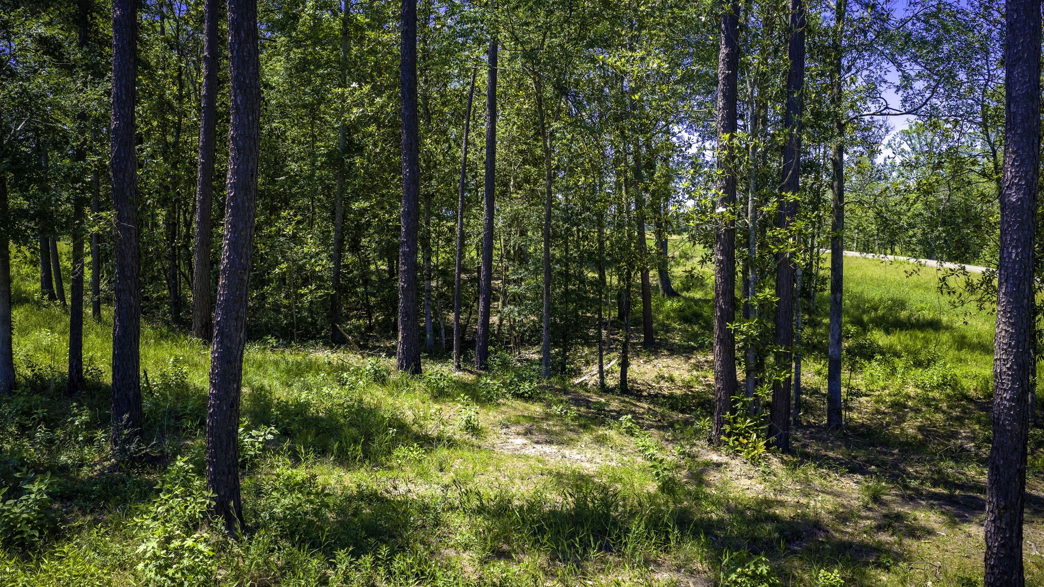 Tbd Lot 15 - Addison Road Property Photo 25