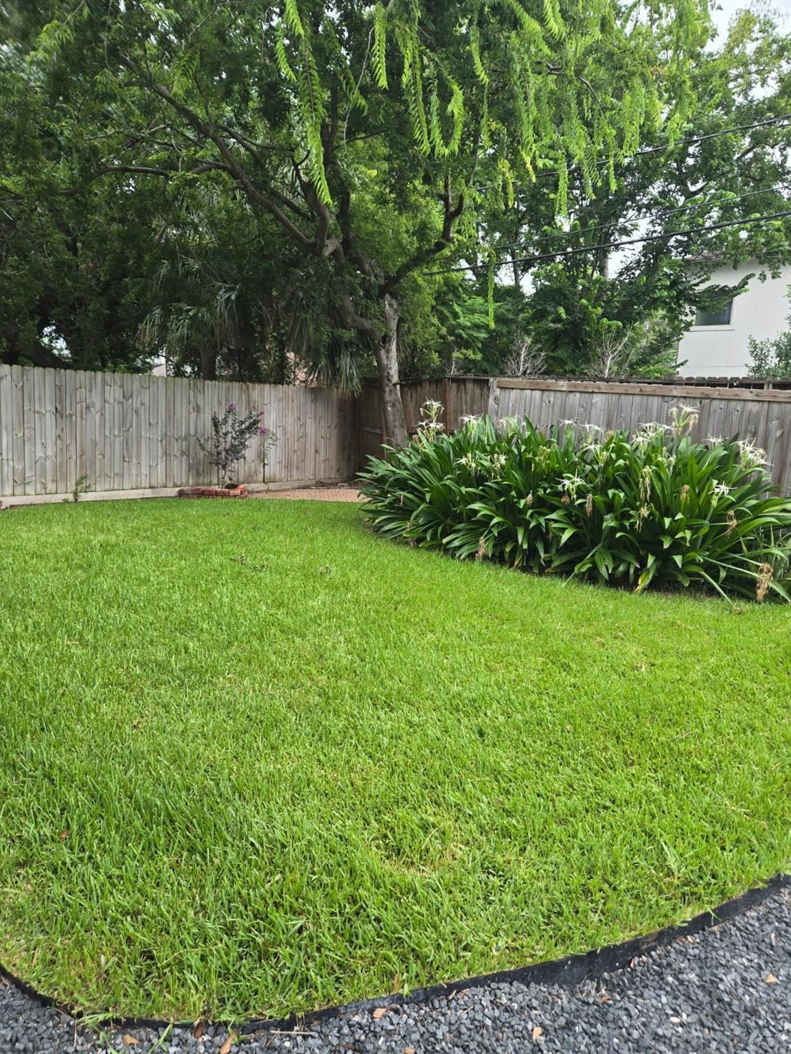 5010 Mayfair Street Property Photo 3