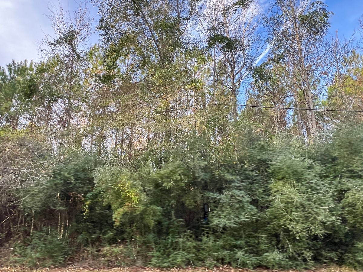 6 Tall Cotton Road Property Photo 4