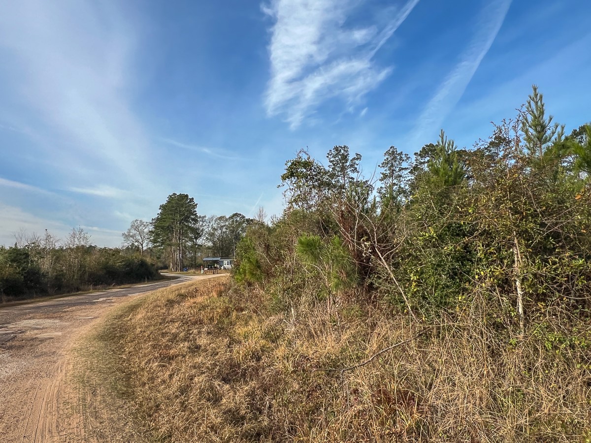 6 Tall Cotton Road Property Photo 5