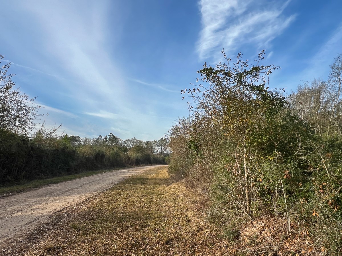 6 Tall Cotton Road Property Photo 8