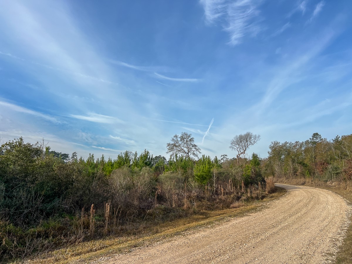 6 Tall Cotton Road Property Photo 15