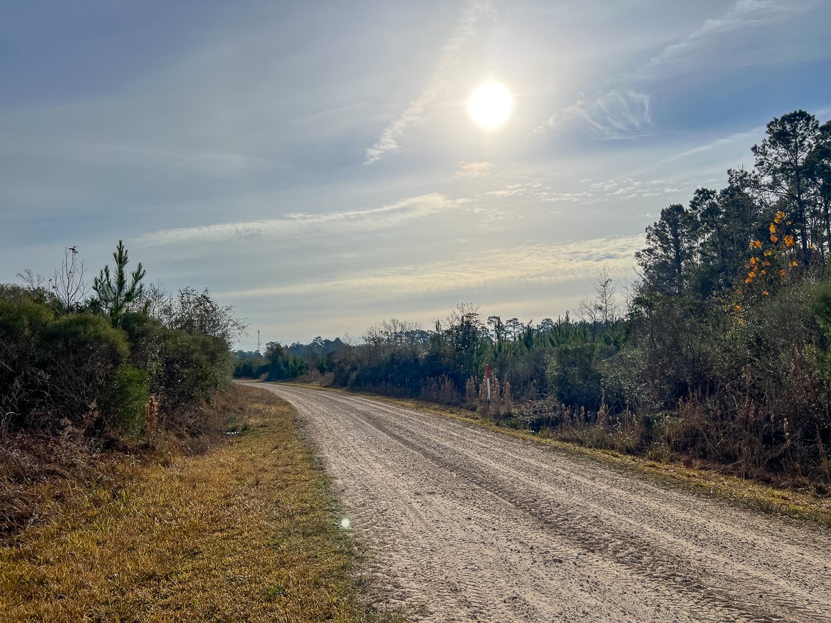 6 Tall Cotton Road Property Photo 16