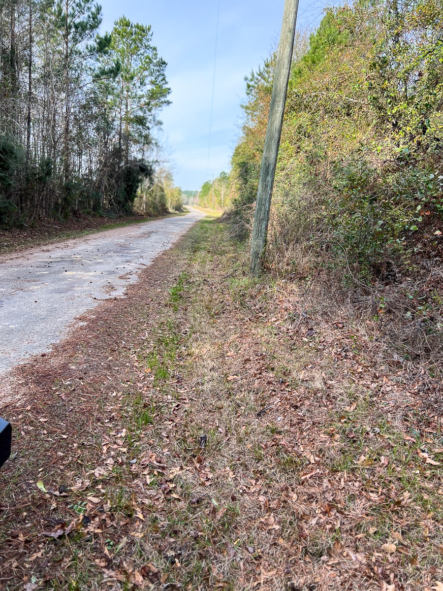 6 Tall Cotton Road Property Photo 21