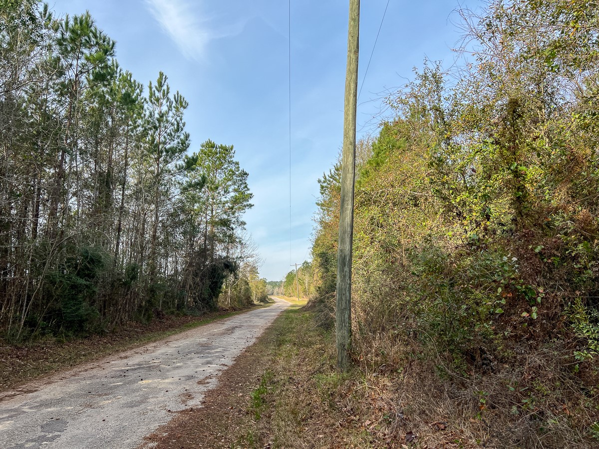6 Tall Cotton Road Property Photo 23