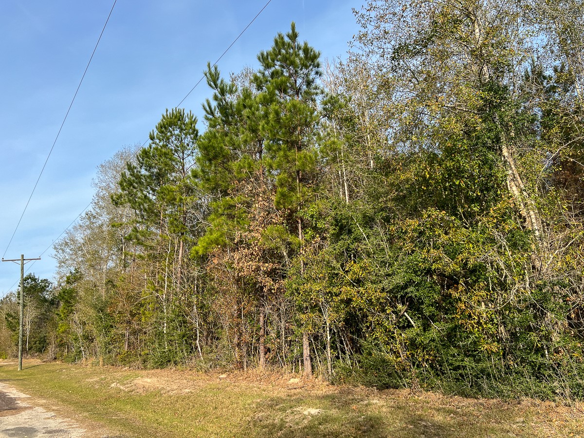6 Tall Cotton Road Property Photo 25