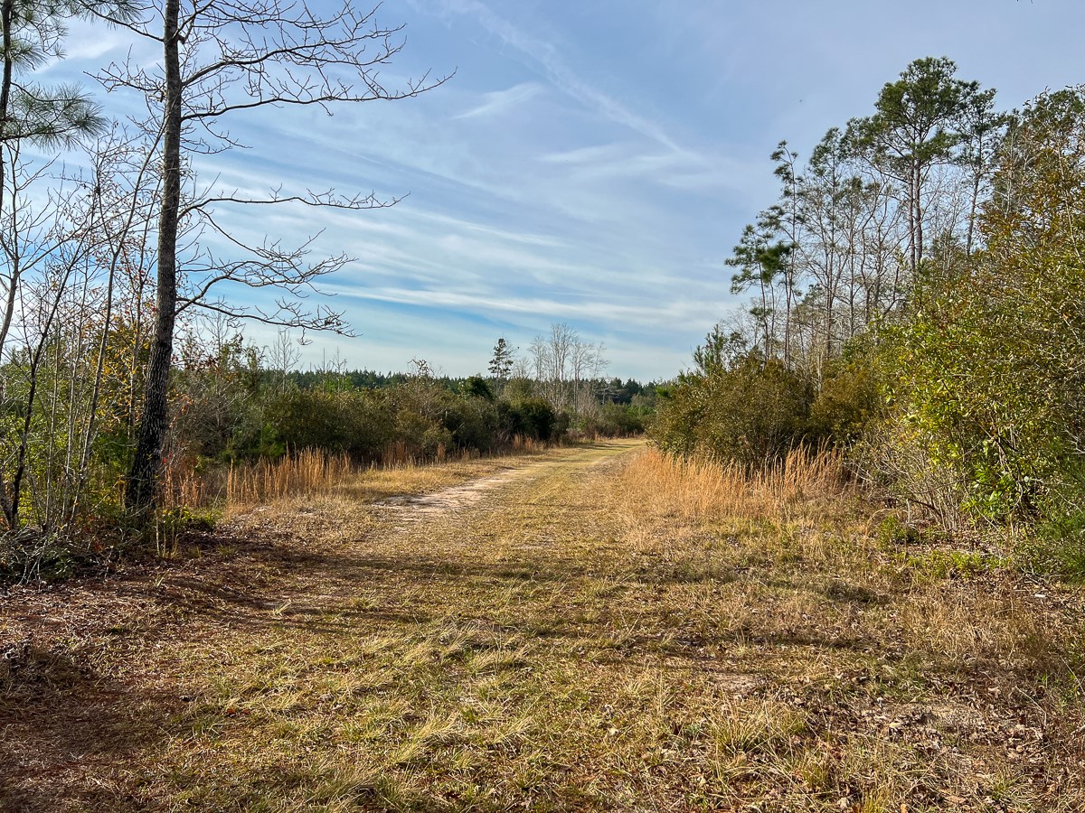 6 Tall Cotton Road Property Photo 28