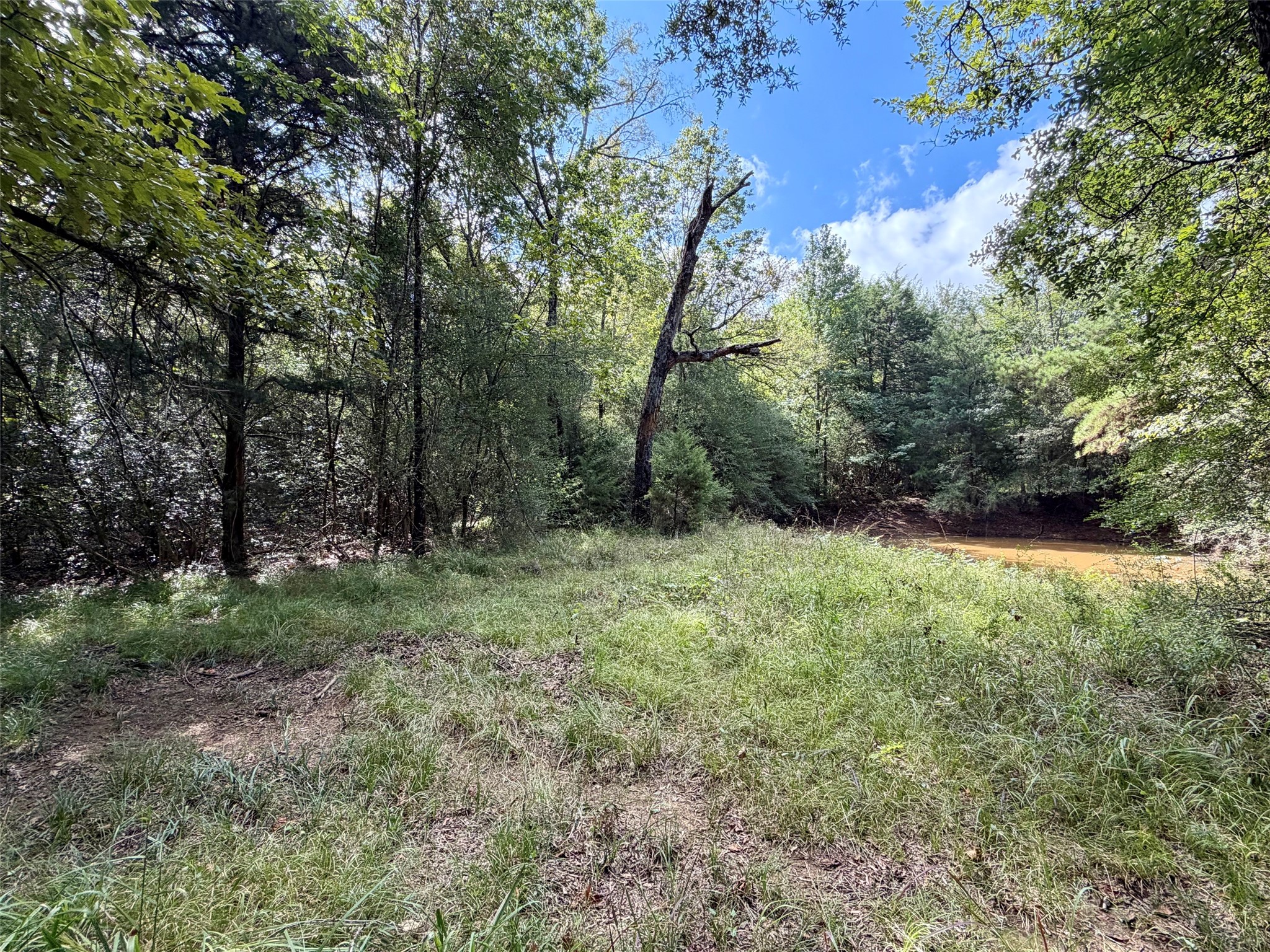 13 Ac Pr 2110 Property Photo 4