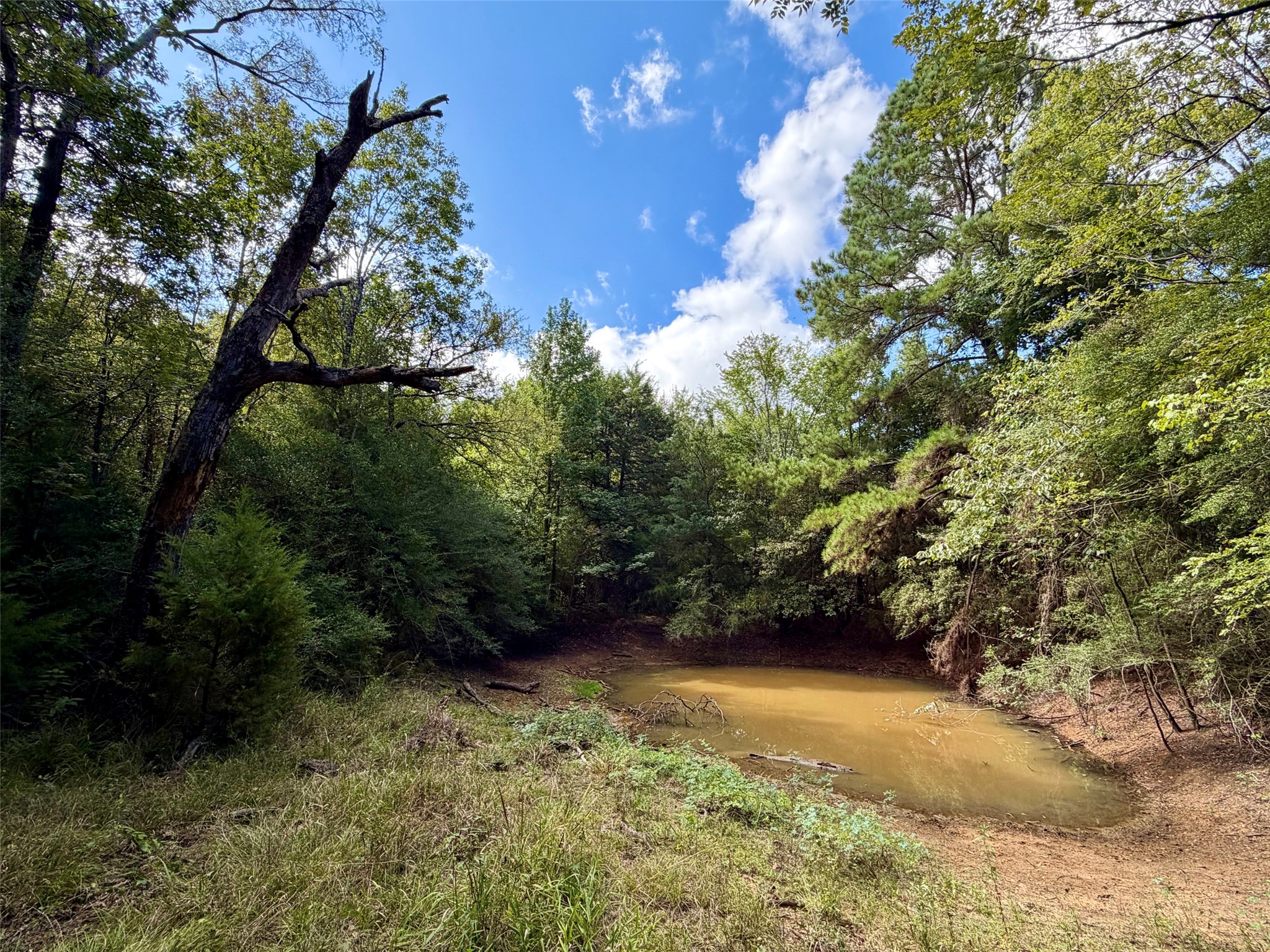 13 Ac Pr 2110 Property Photo 5