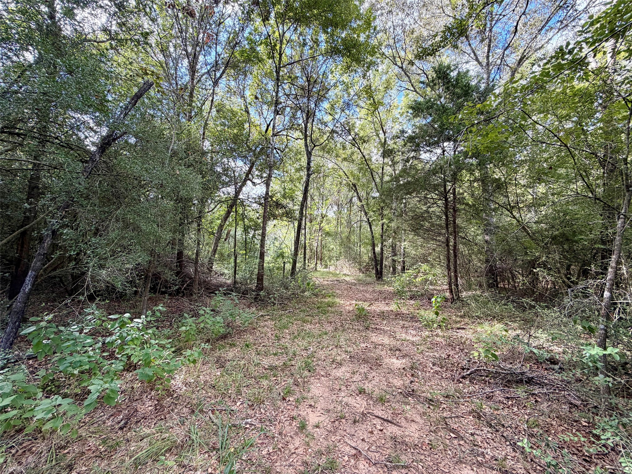 13 Ac Pr 2110 Property Photo 6