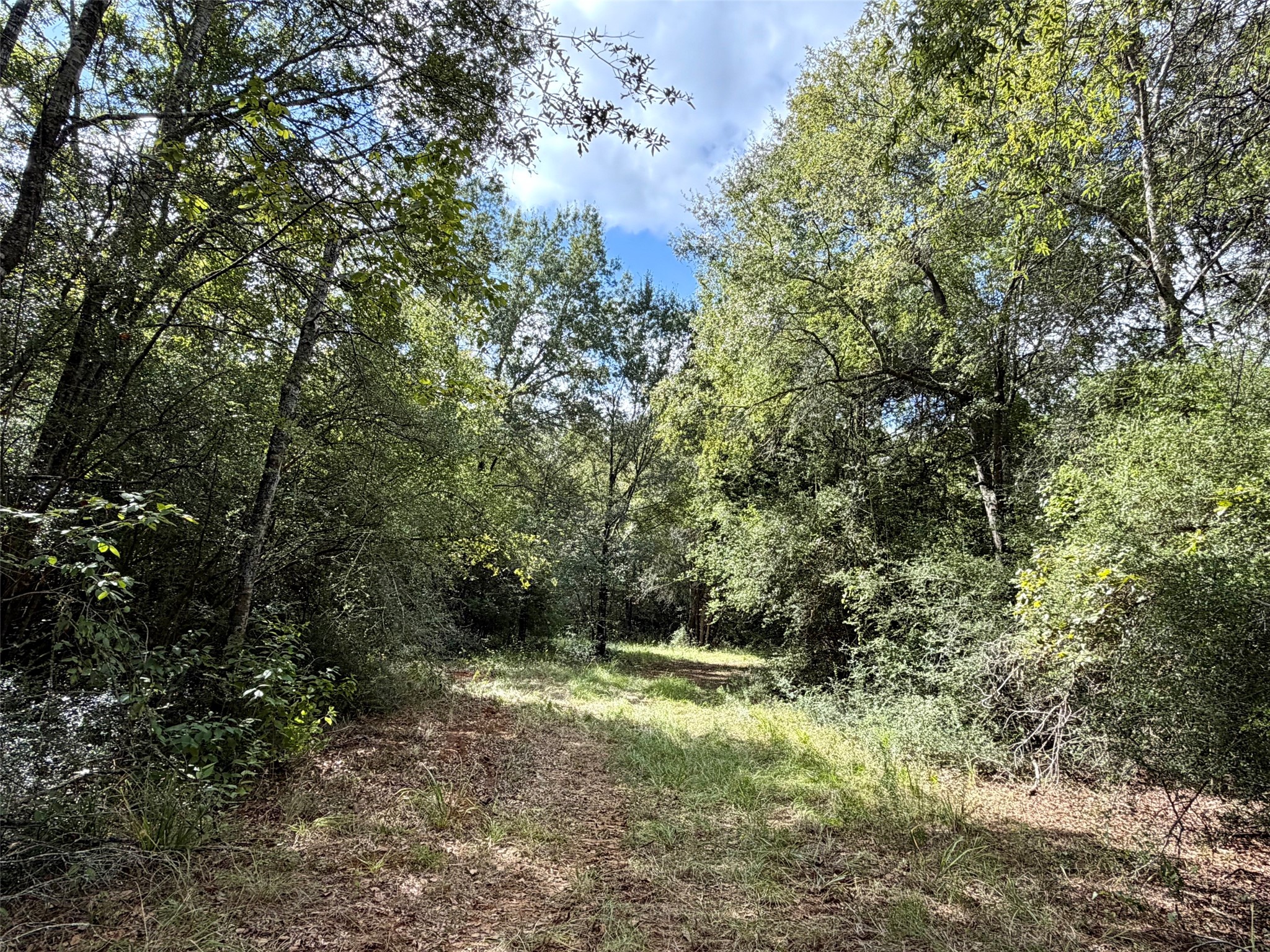 13 Ac Pr 2110 Property Photo 7