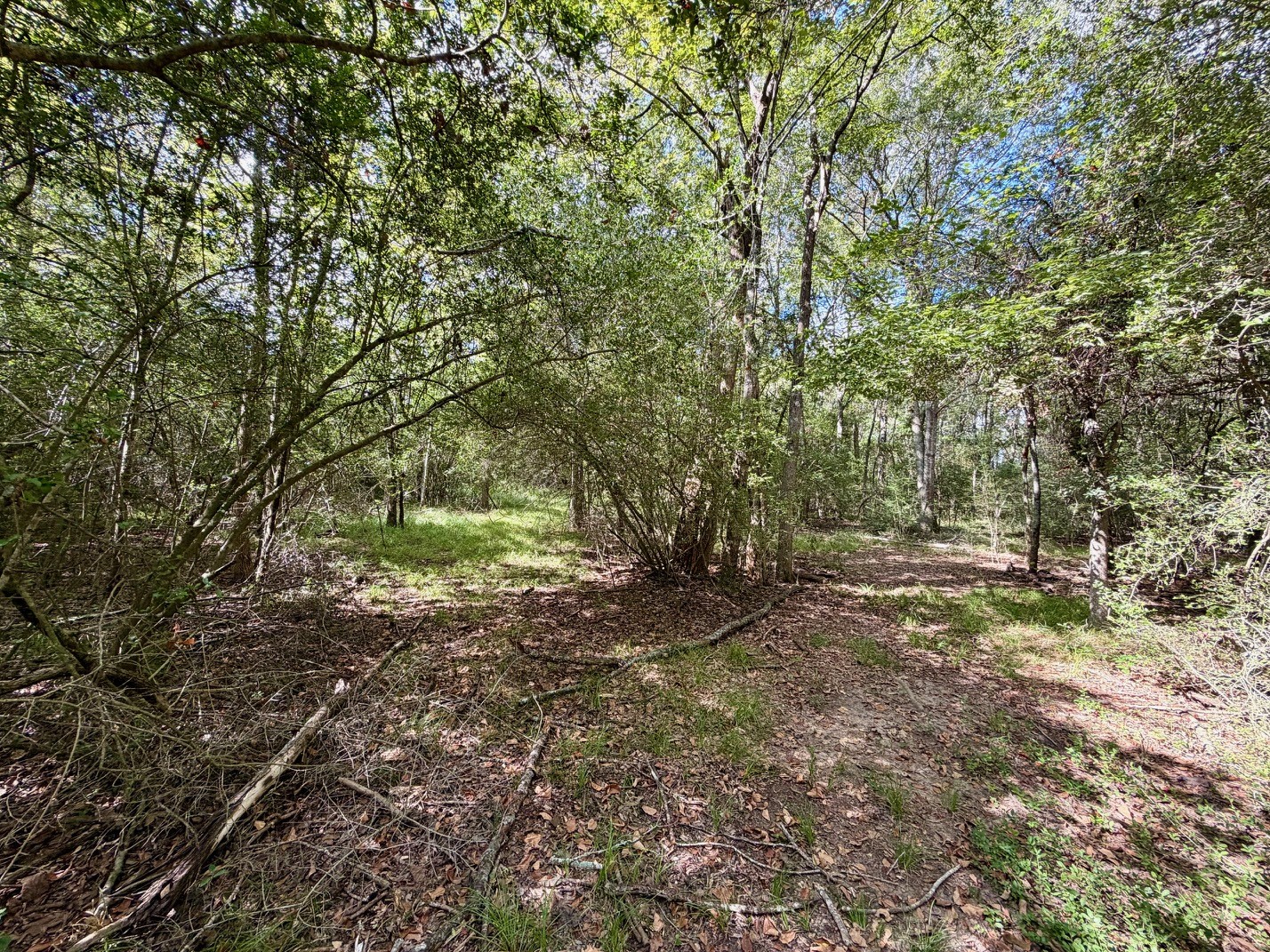 13 Ac Pr 2110 Property Photo 8