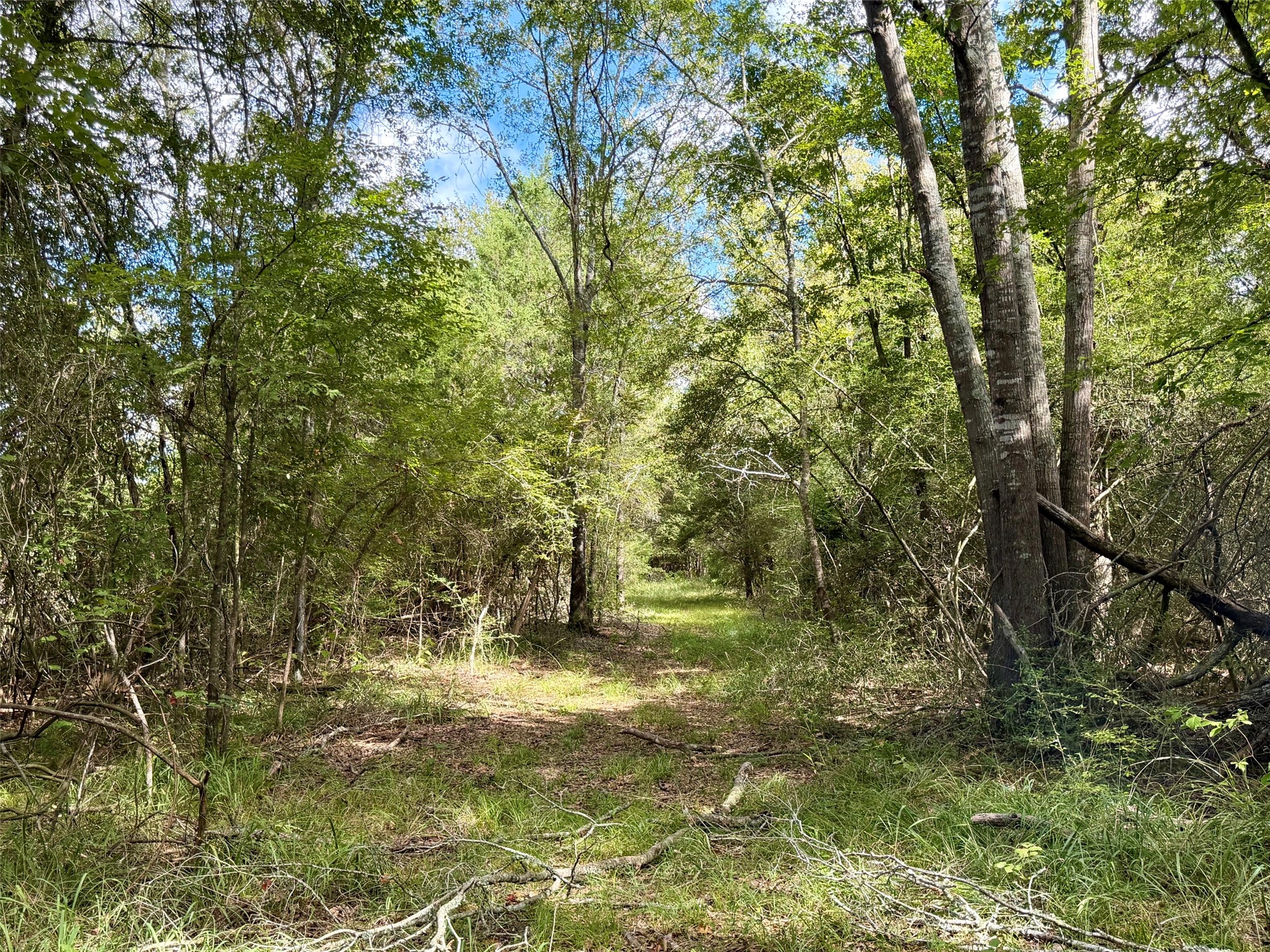 13 Ac Pr 2110 Property Photo 10