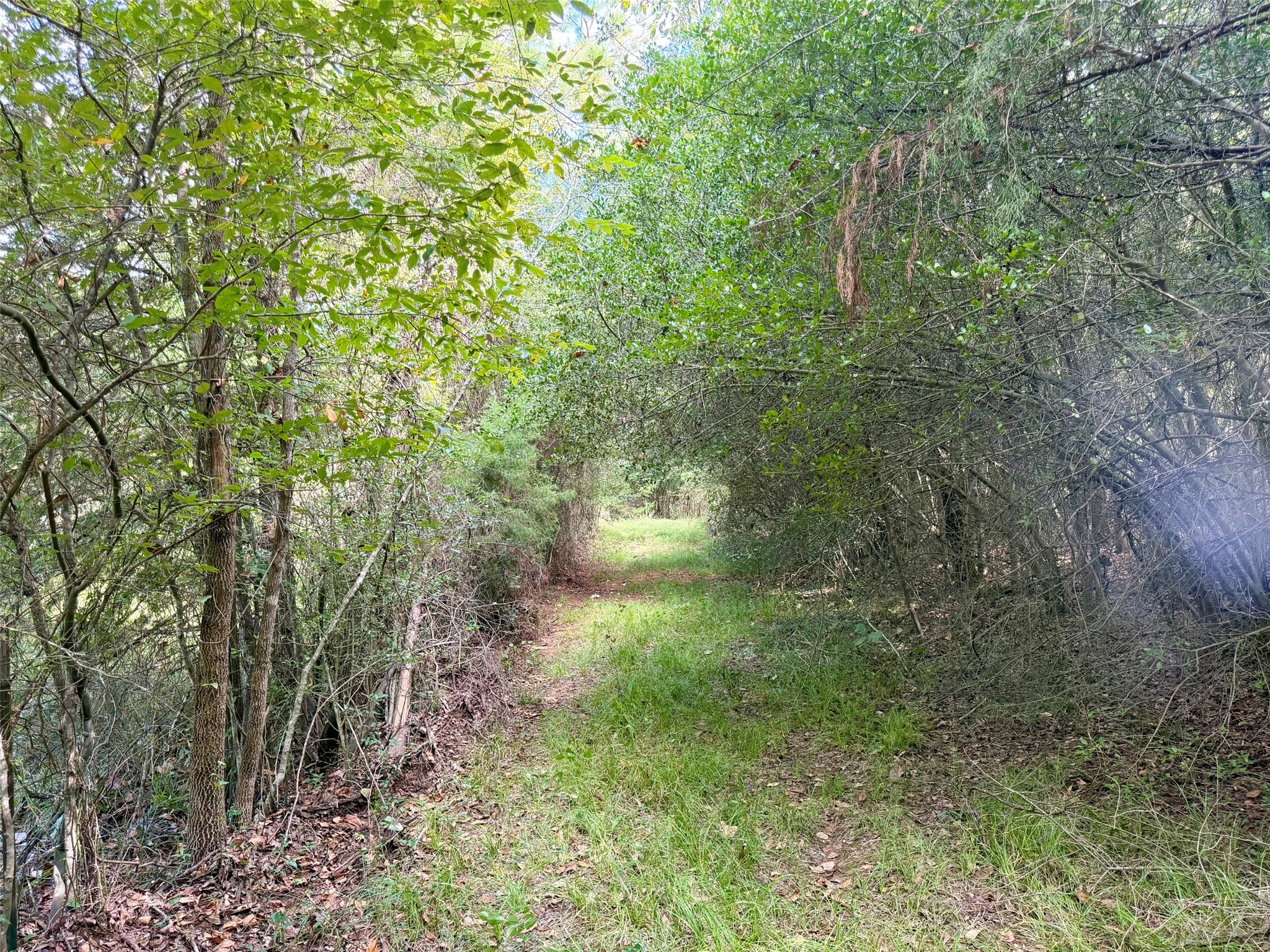 13 Ac Pr 2110 Property Photo 12