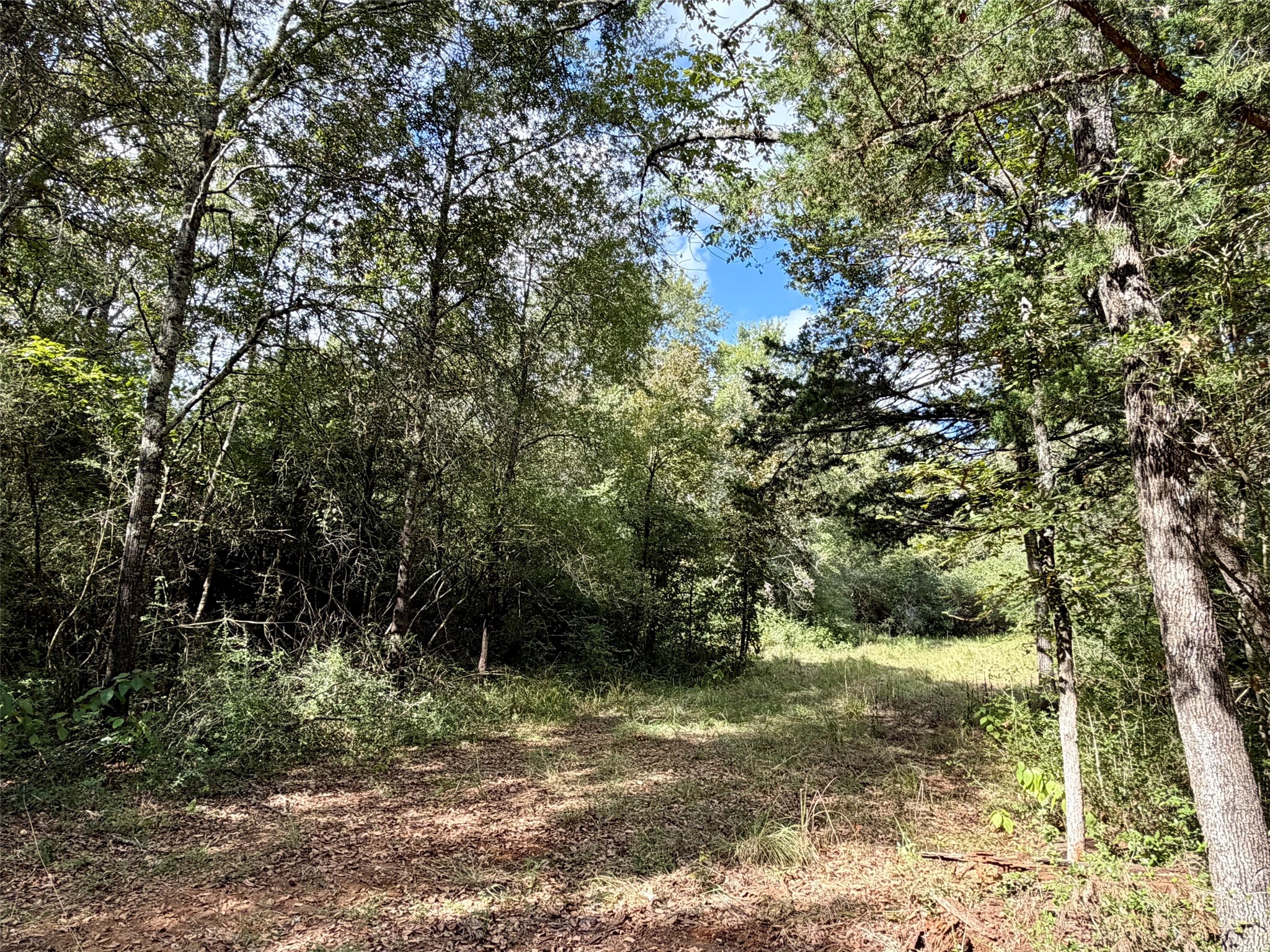 13 Ac Pr 2110 Property Photo 13
