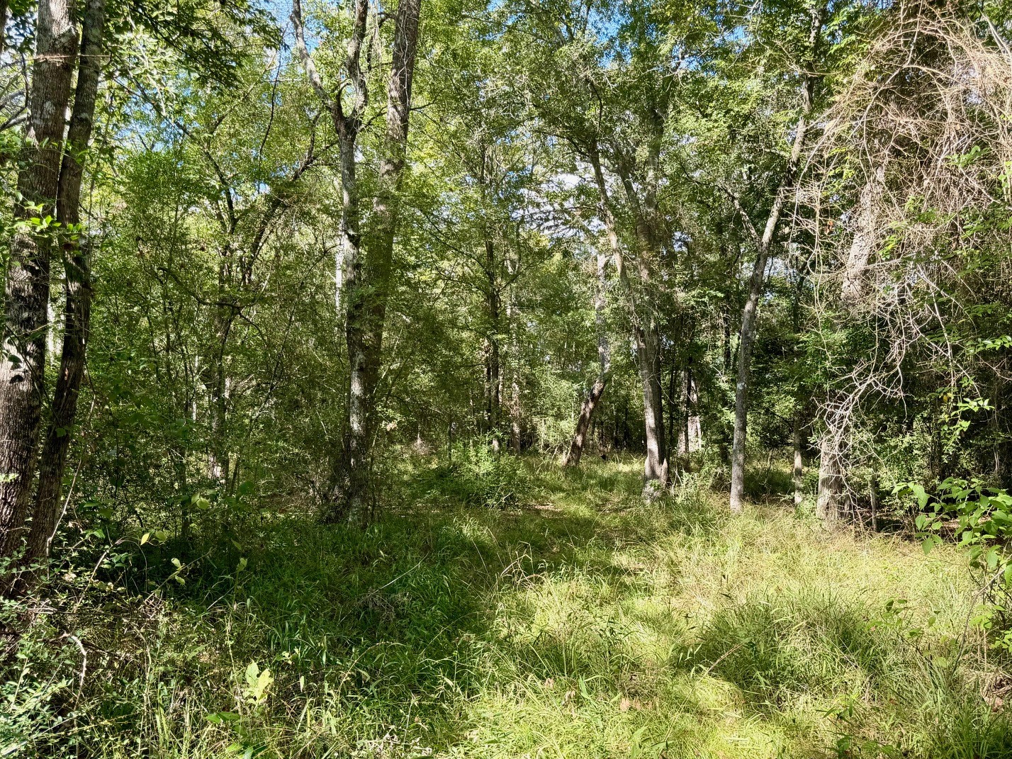13 Ac Pr 2110 Property Photo 14