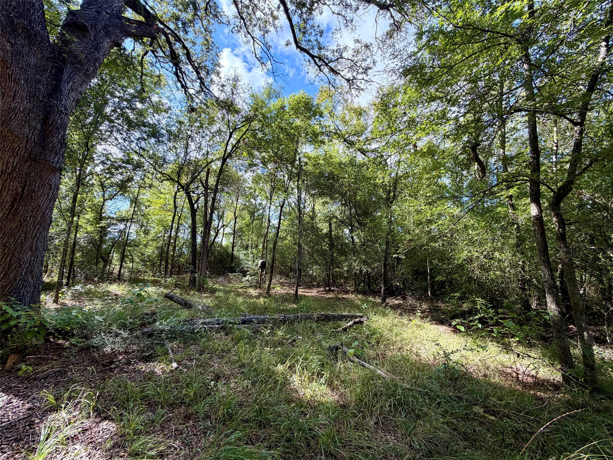 13 Ac Pr 2110 Property Photo 15