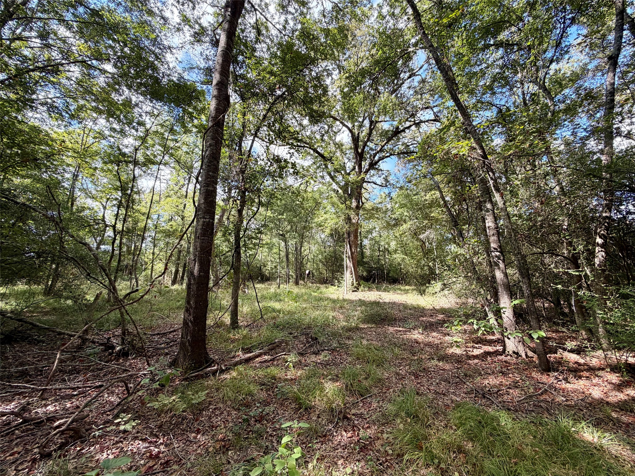13 Ac Pr 2110 Property Photo 16