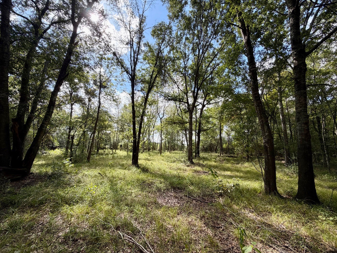 13 Ac Pr 2110 Property Photo 17