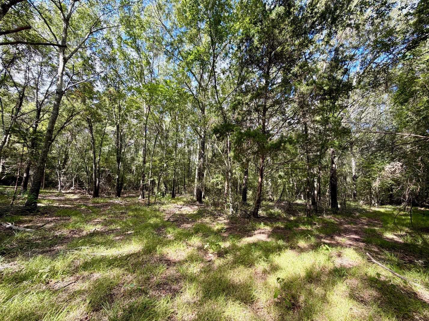 13 Ac Pr 2110 Property Photo 18