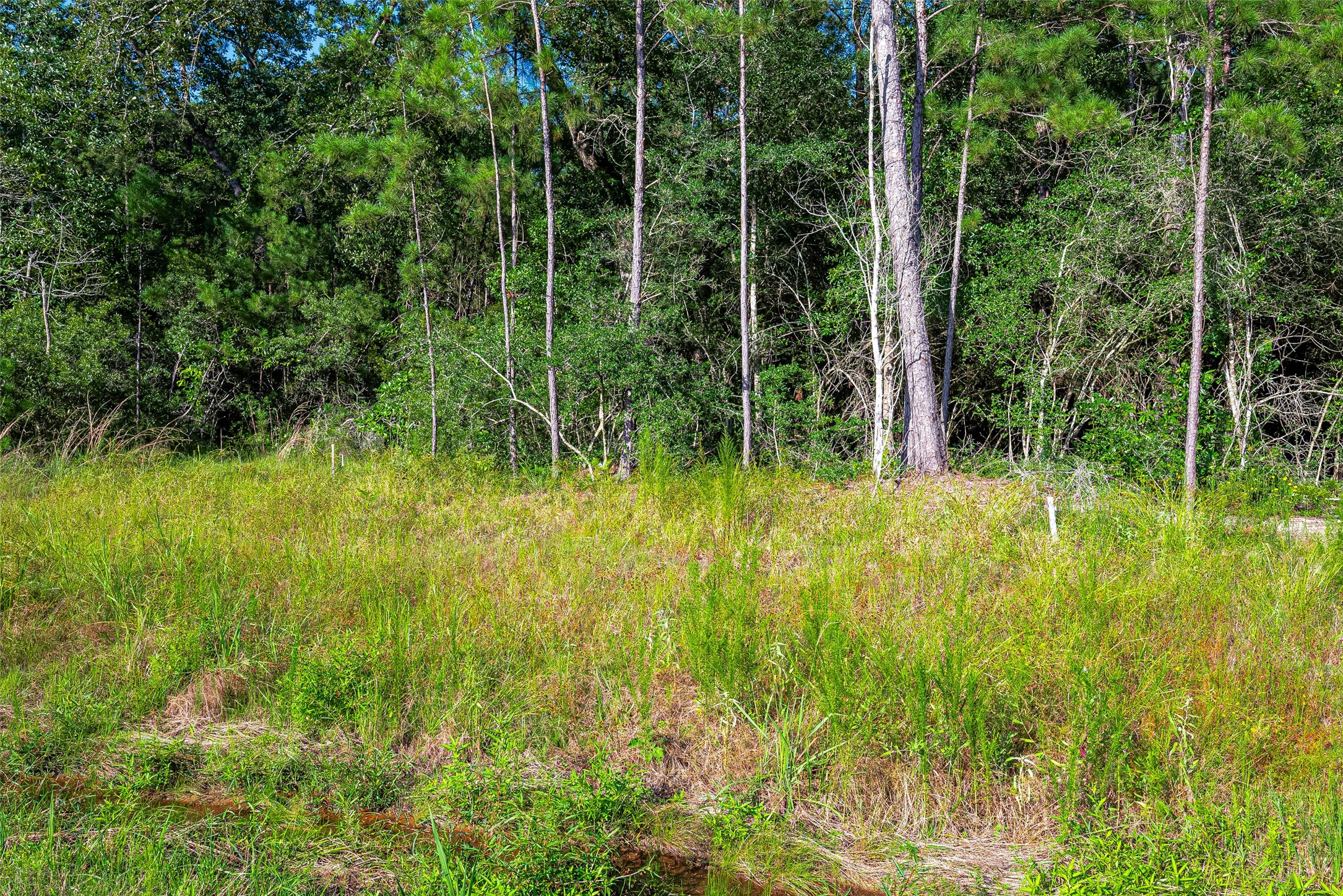 102 Eagle Run Road Property Photo 5