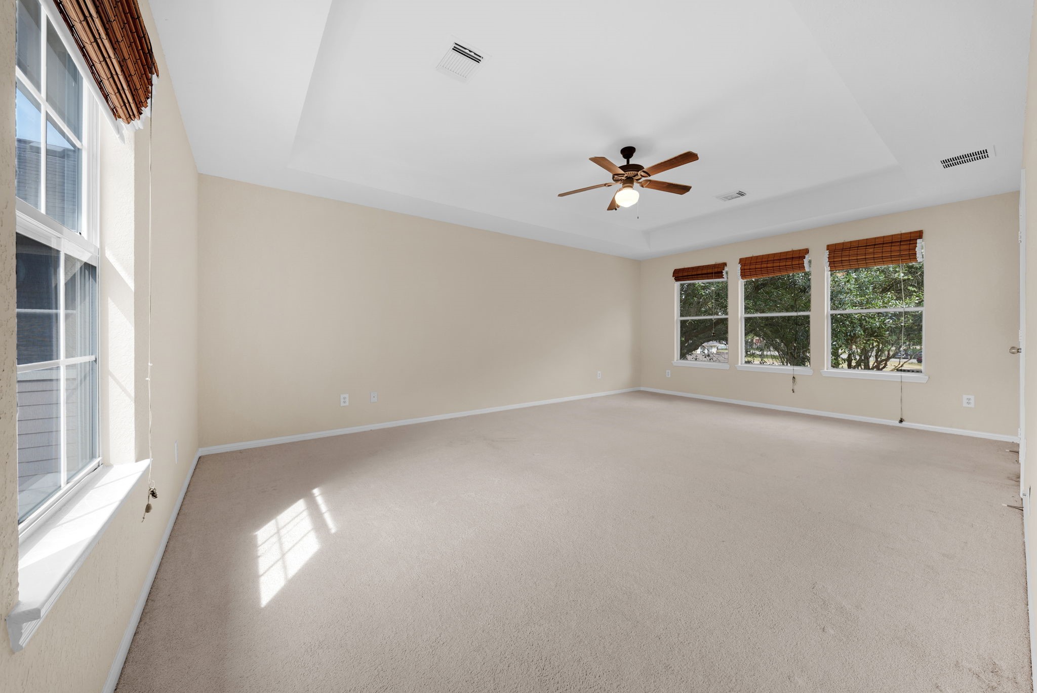 21610 Spring Vine Lane Property Photo 14