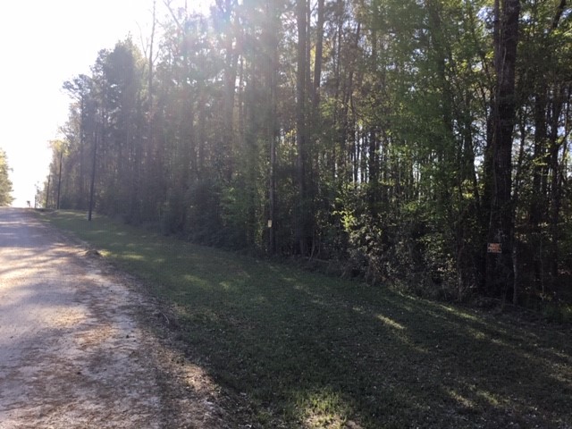 310 Johnson Drive Property Photo