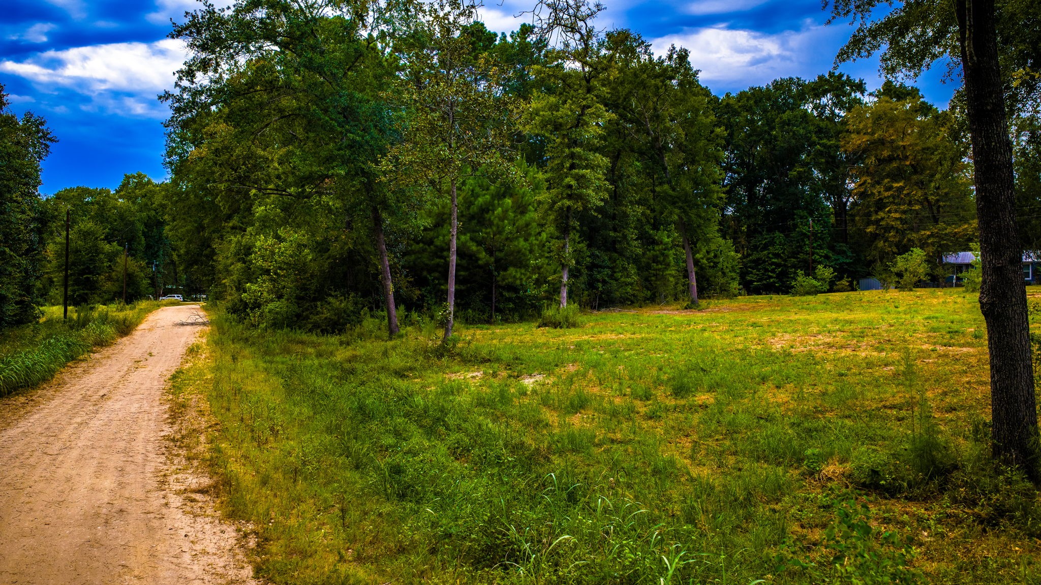 TBD Forest Drive