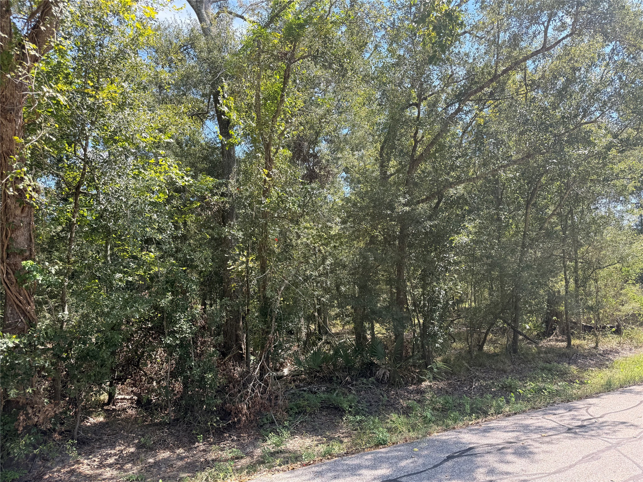 20687 Live Oak Drive Property Photo 2