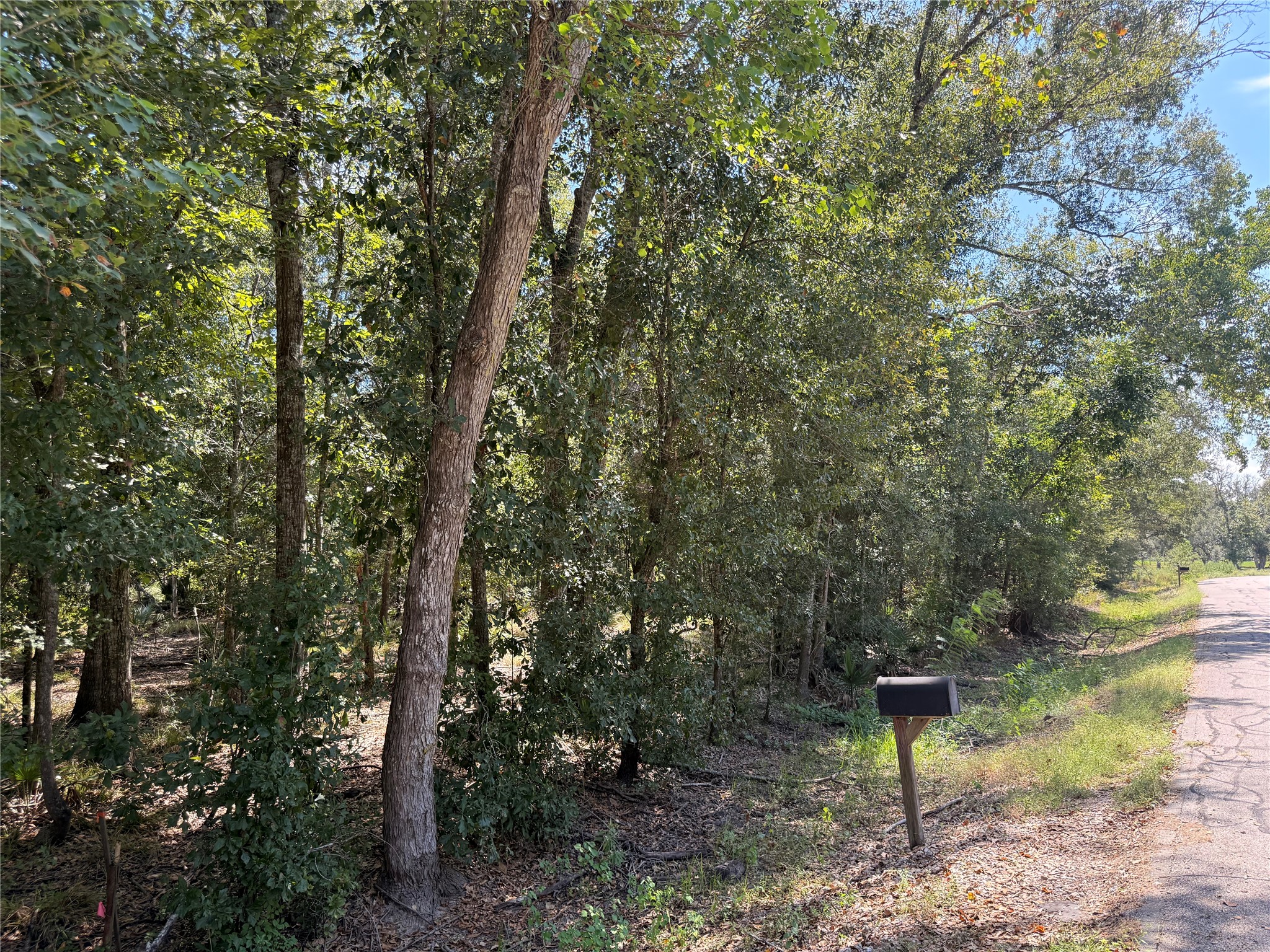 20687 Live Oak Drive Property Photo 3