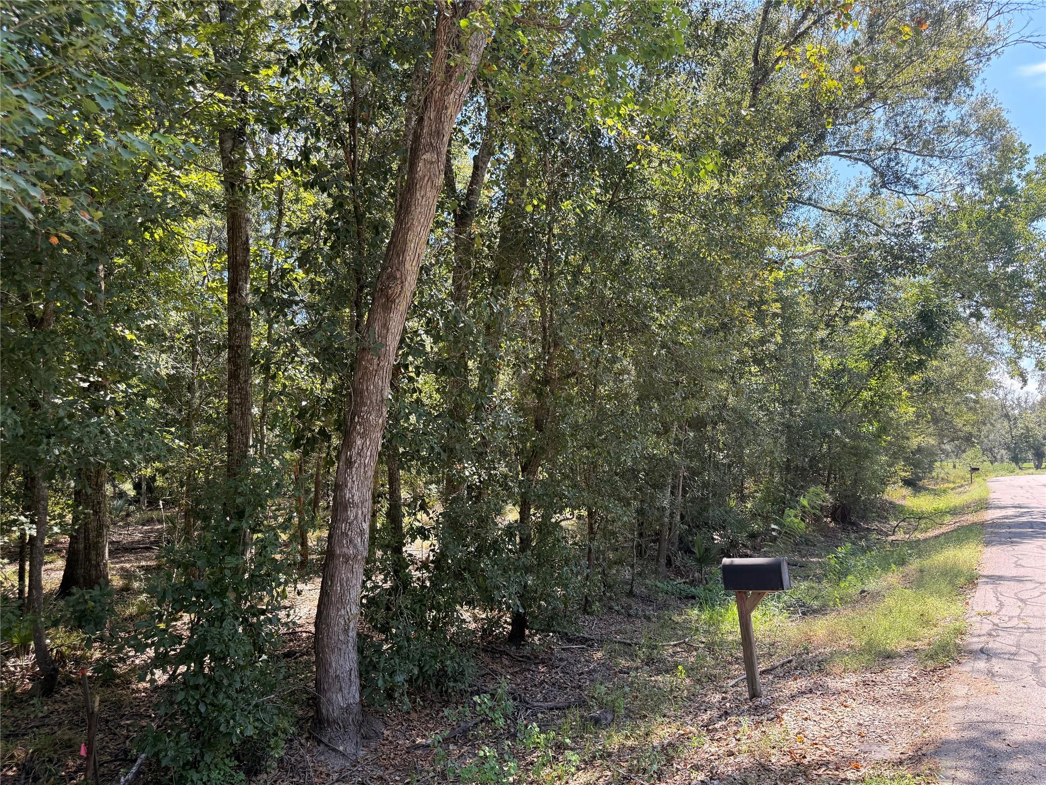 20687 Live Oak Drive Property Photo 3
