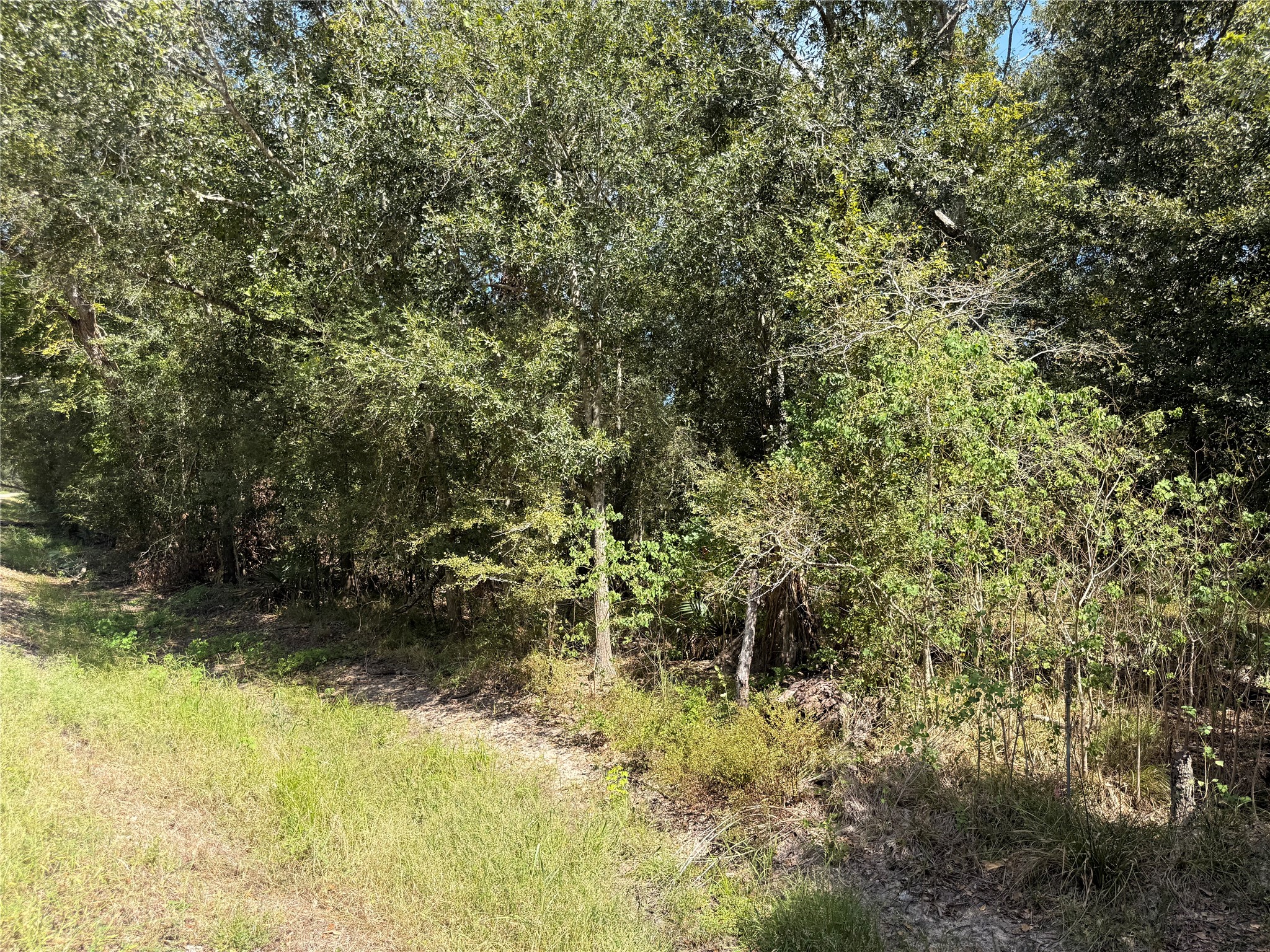 20687 Live Oak Drive Property Photo 4