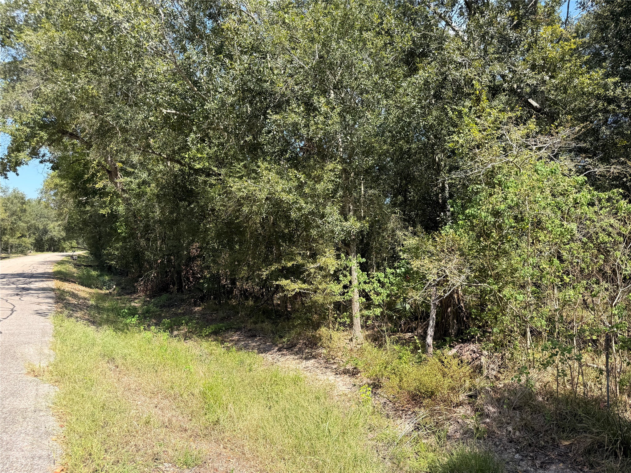 20687 Live Oak Drive Property Photo 5