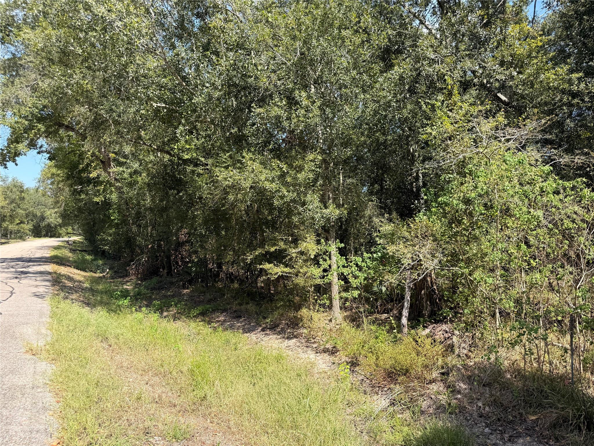 20687 Live Oak Drive Property Photo 5
